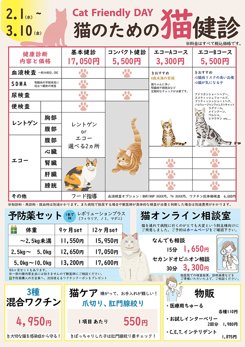 猫診療キャンペーン料金表