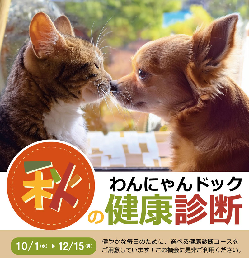 秋の健康診断キャンペーン