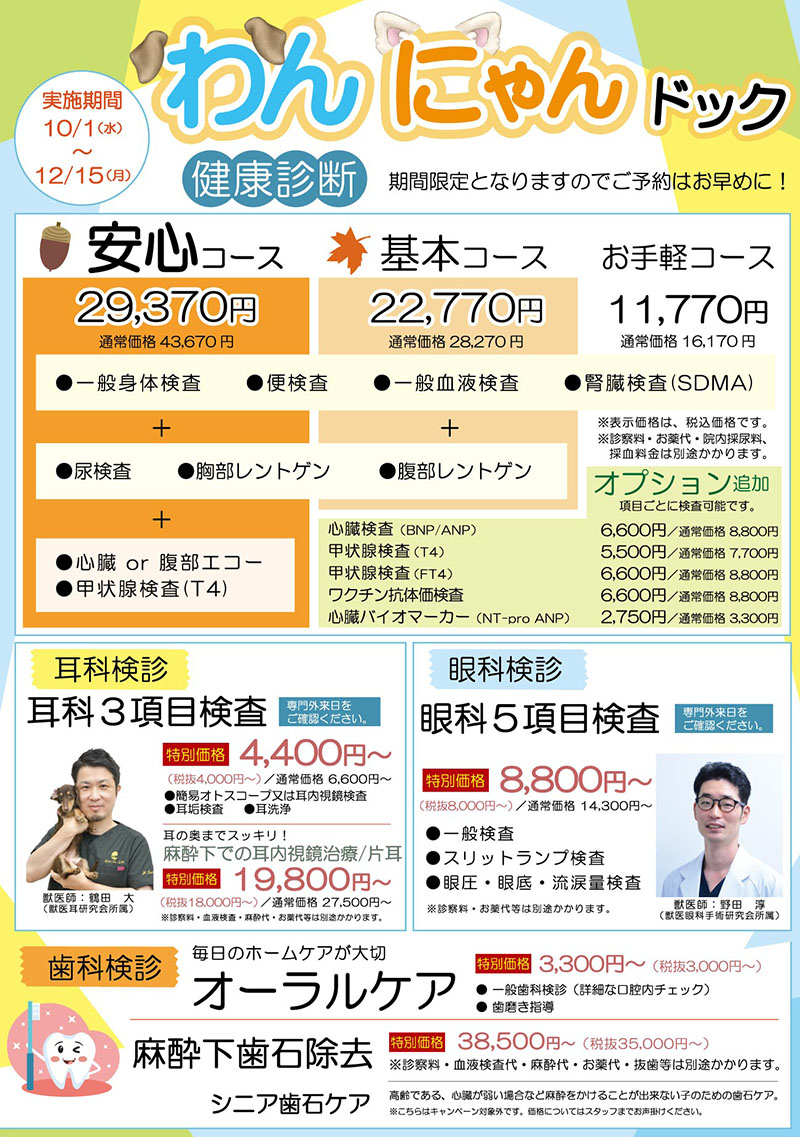 2025年秋キャンペーン