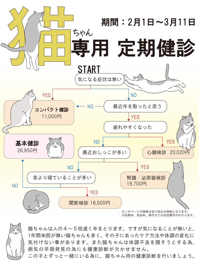 猫キャンペーン