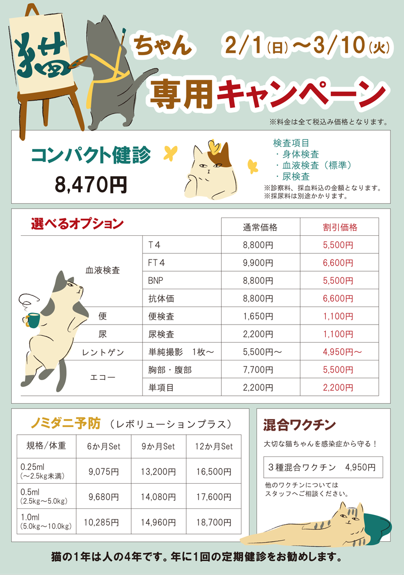 猫キャンペーン