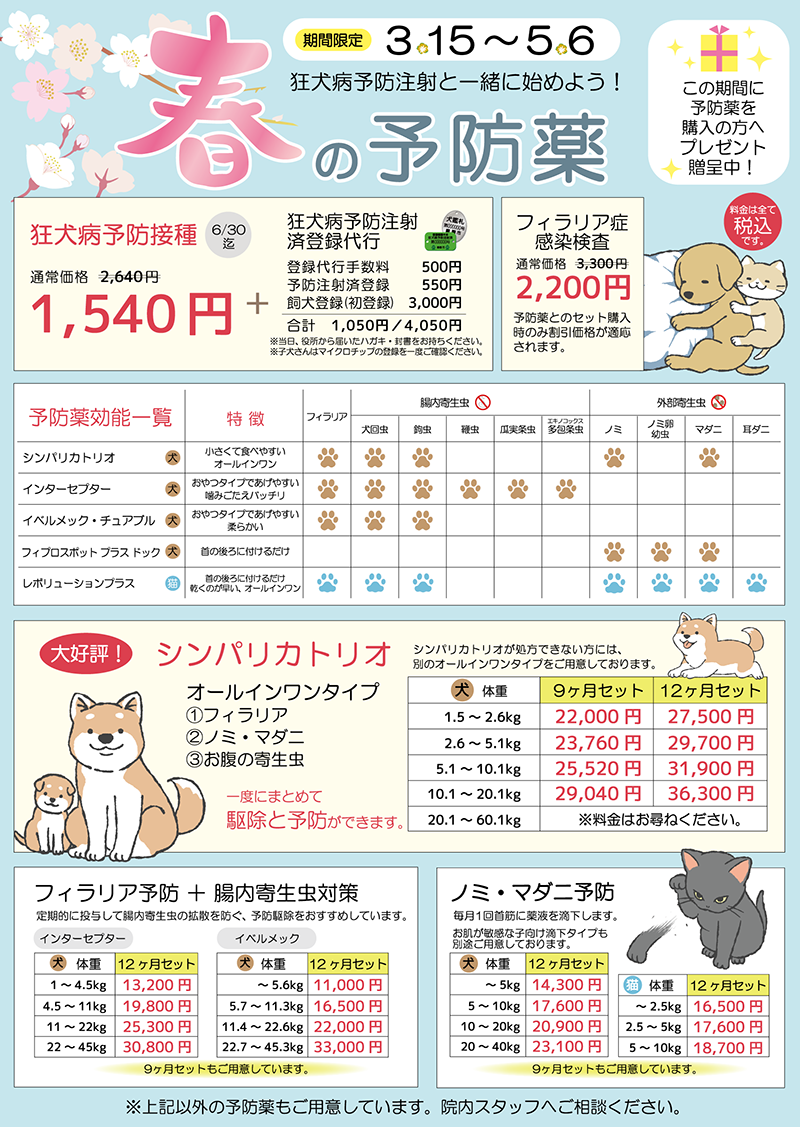 2026年春キャンペーン