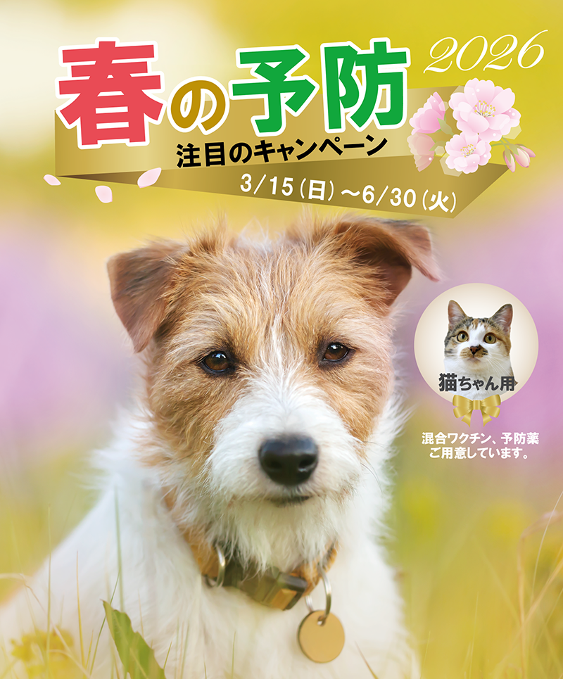 春の予防キャンペーン